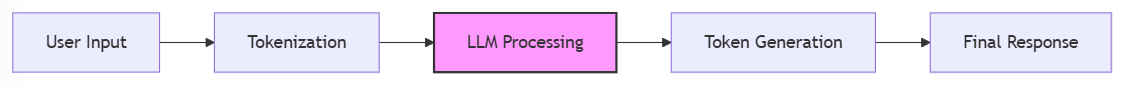 Basic LLM Architecture